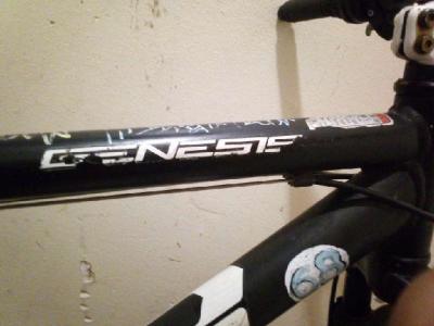 Genesis mountain bike 29in