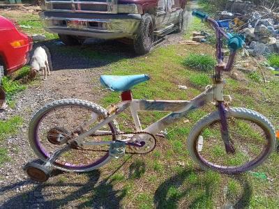 little girl bike that has been sitting for a few years now - Thumbnail 2