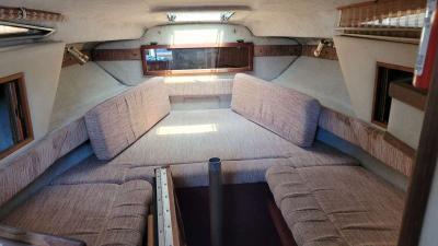 Sea Ray sundance 1986 cabin very clean - Thumbnail 3