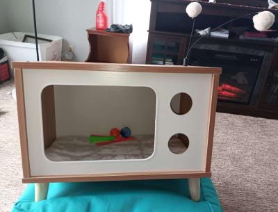 cat bed house toys and scratch pad