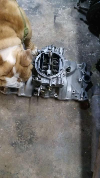 Edelbrock Carb 650 4 high Rise Intake and a 14 breather - Thumbnail 2