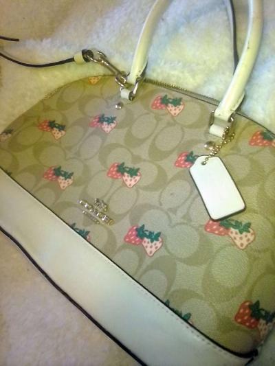 Genuine Coach Crossbody Handbag Purse - Thumbnail 3