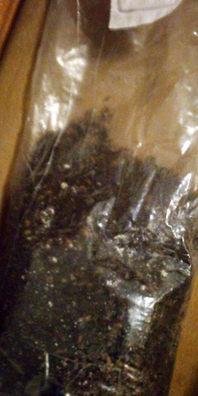 mycology equipment make offer - Thumbnail 3