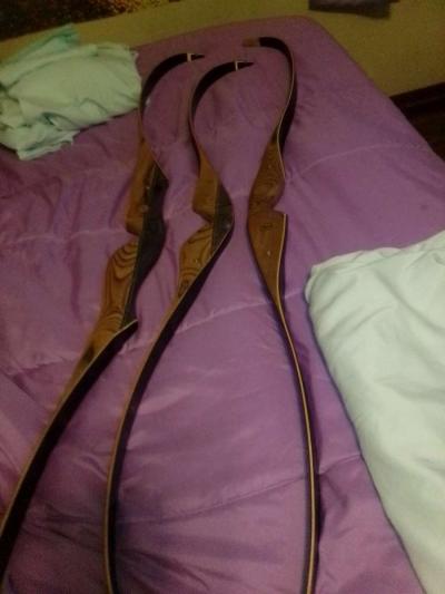 Bear hunting bows brand new - Thumbnail 3