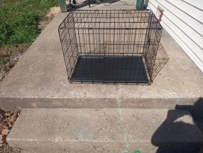 Brand new medium sized dog cage just bought it - Thumbnail 3