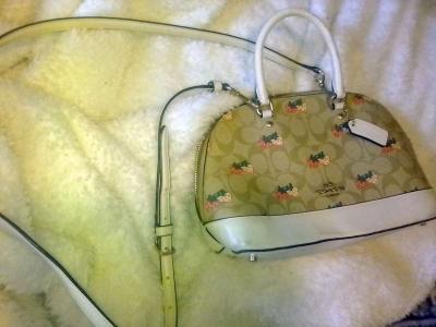 Genuine Coach Crossbody Handbag Purse - Thumbnail 2