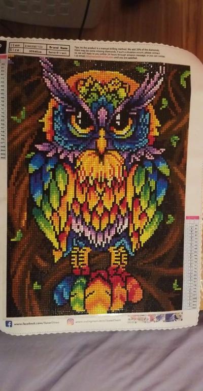 Finished Diamond Painting - Thumbnail 2