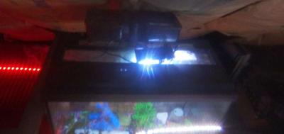 fish tank - Thumbnail 2