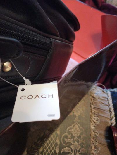 everything - Thumbnail 6