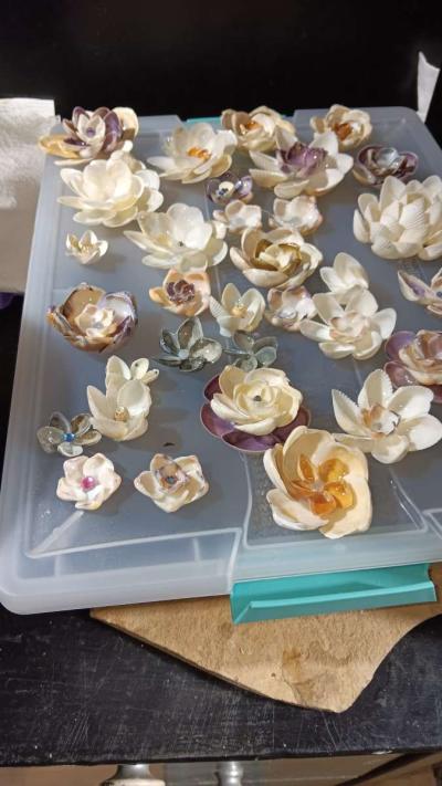 Seashells for crafts or jewelry - Thumbnail 2