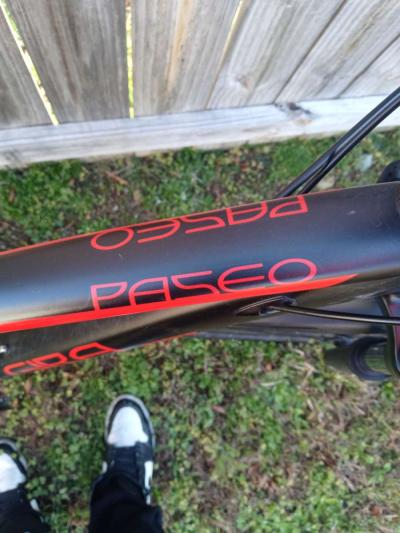 Paseo Gira bike - Thumbnail 2