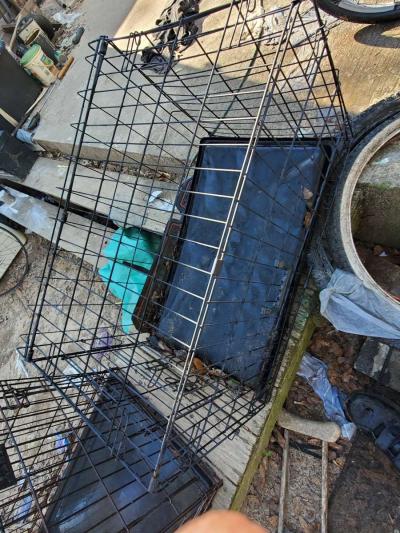 Dog Crates - Thumbnail 2