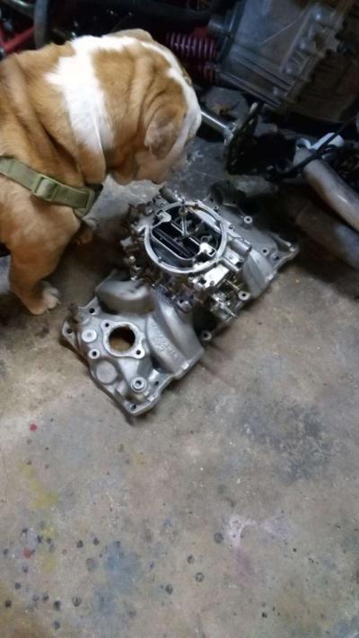 Edelbrock Carb 650 4 high Rise Intake and a 14 breather - Thumbnail 4