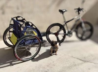 26 mountain bike with - Thumbnail 3