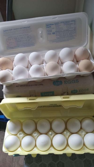 Fresh eggs - Thumbnail 2