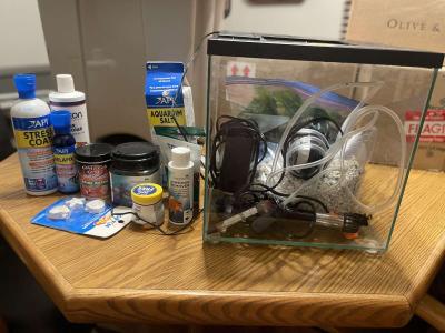 5g fish tank starter kit