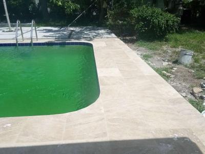 los mejores en el mercado - Thumbnail 3