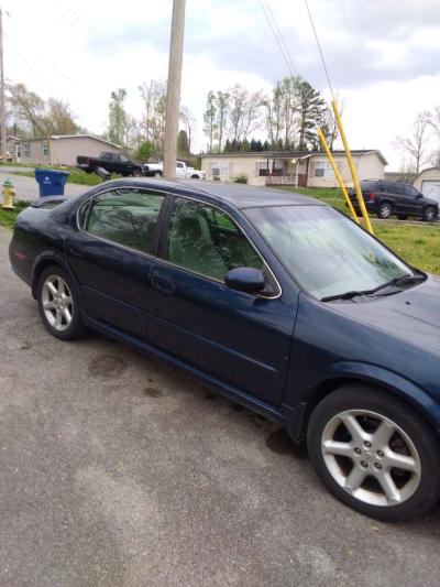 2002 Nissan Maxima special edition - Thumbnail 2