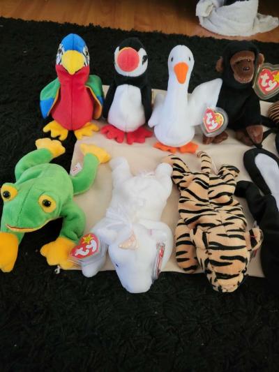 toy Kid - Thumbnail 3