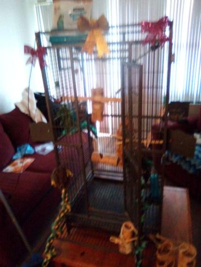 bird cage