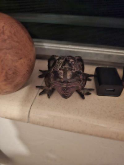 very beautiful vases - Thumbnail 6