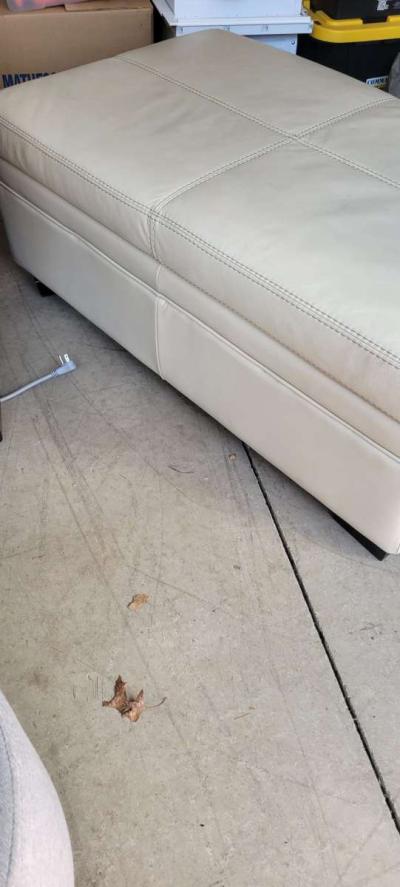 Sleeper sofa and ottoman - Thumbnail 3