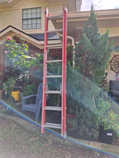 ladder Escalera 16ft - Thumbnail 3