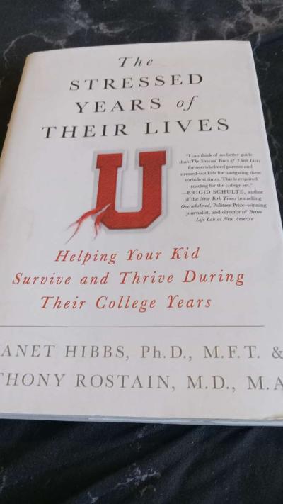 The Stressed Years of their Lives - Thumbnail 3