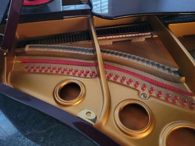 Bergmann Piano Heritage Series by Young Chan - Thumbnail 6