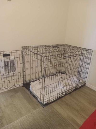 xl dog cage - Thumbnail 2