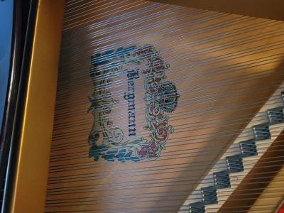 Bergmann Piano Heritage Series by Young Chan - Thumbnail 5
