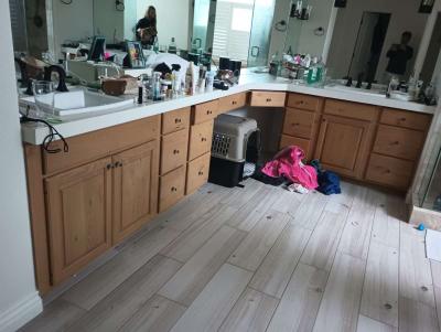 Interior Exterior painting services