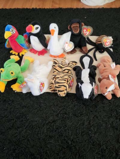 toy Kid - Thumbnail 5