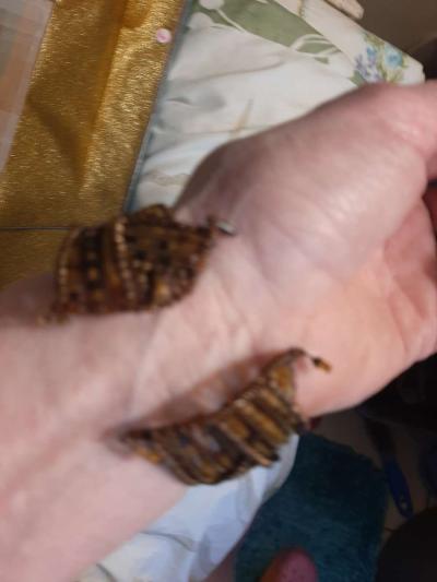 Brown Bead Bracelet - Thumbnail 5