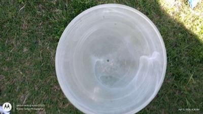 26 large glass frosted milky white swirl ceiling fan dome - Thumbnail 3