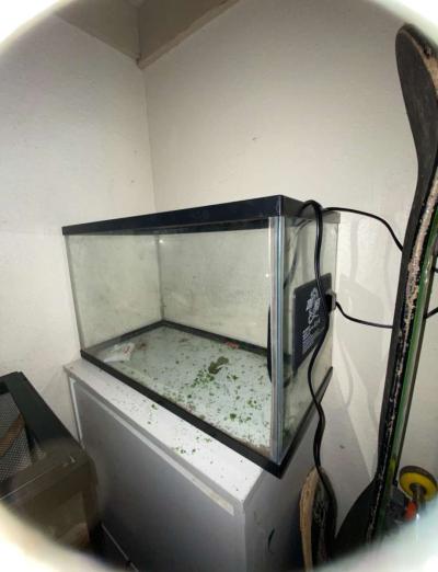 10 Gallon tank N Heat mat - San Antonio, Texas