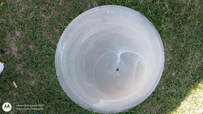 26 large glass frosted milky white swirl ceiling fan dome - Greenville, Texas