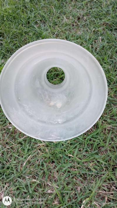 small frosted glass light fixture dome - Greenville, Texas