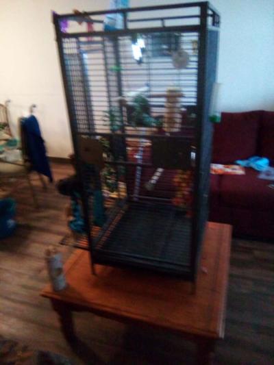 bird cage - Thumbnail 2