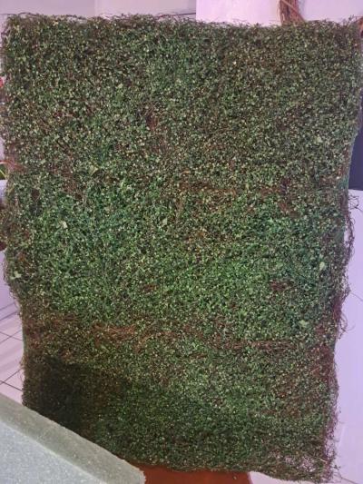Artificial fake Grass wall decor stand - Thumbnail 6