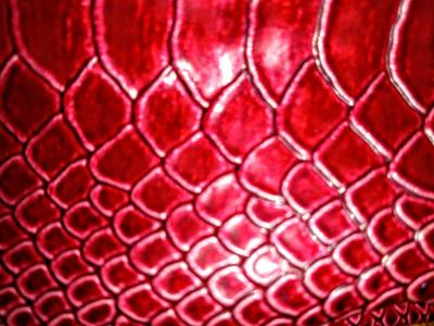 Red Small Rattlesnake Pattern Clutch with 25in Silver Chain - Thumbnail 6