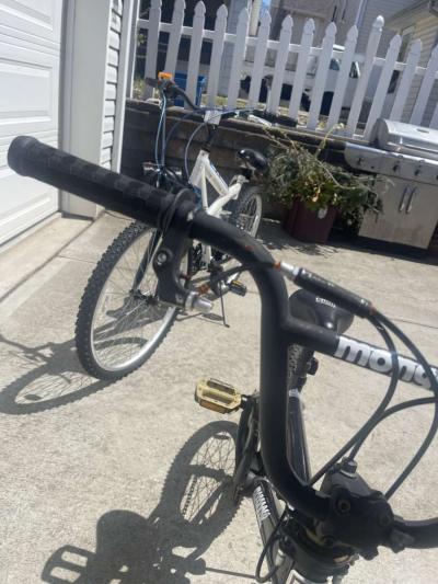 major fixer upper bikes - Thumbnail 3