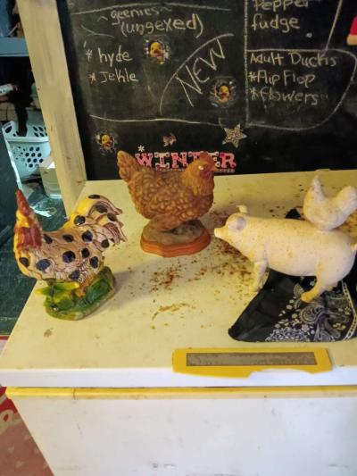 chickens and foot massager - Thumbnail 2