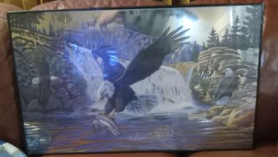 Bald Eagle Wall Picture