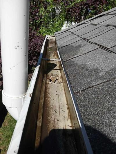 overflowing gutters - Thumbnail 2
