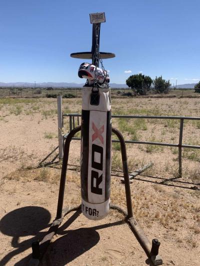 Everlast punching bag stand with punching bag set
