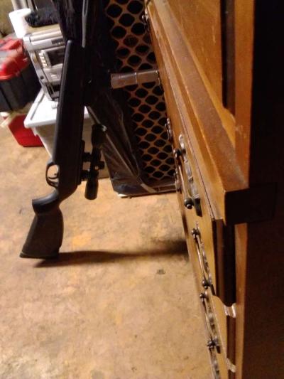 Gamo swarm whisper bb gun - Thumbnail 2