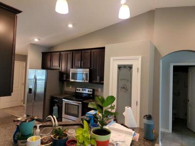 Professional Painting Services - Thumbnail 3