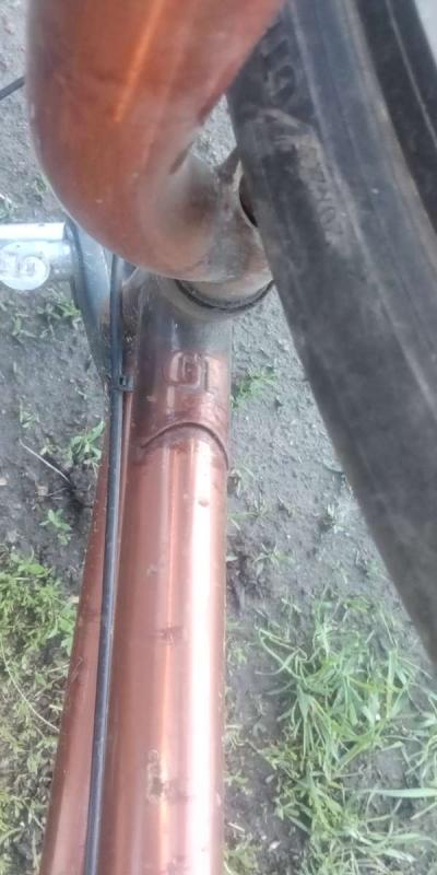 GT performer - Thumbnail 2