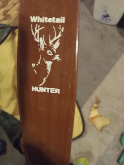 whitetail compound bow